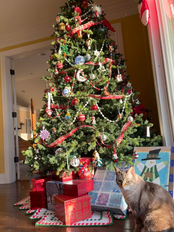 HOLIDAY HOURS: