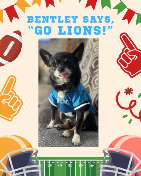 Bentley is rooting for the Lions today!