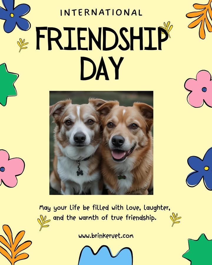 Happy International Friendship Day!