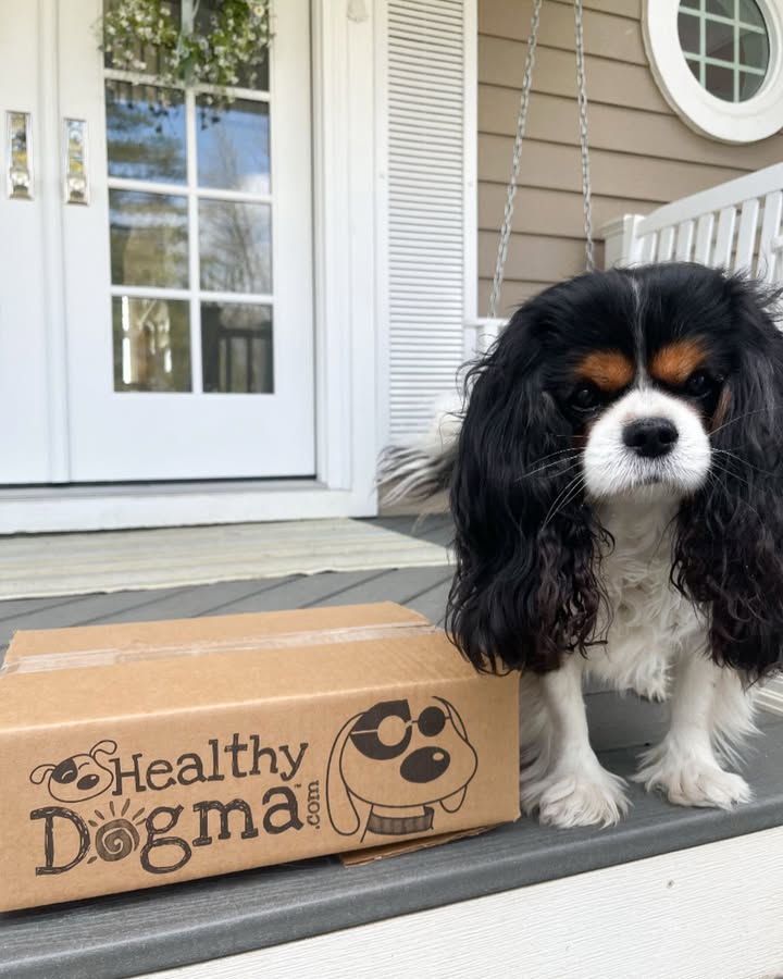 Healthy Dogma Delivery!