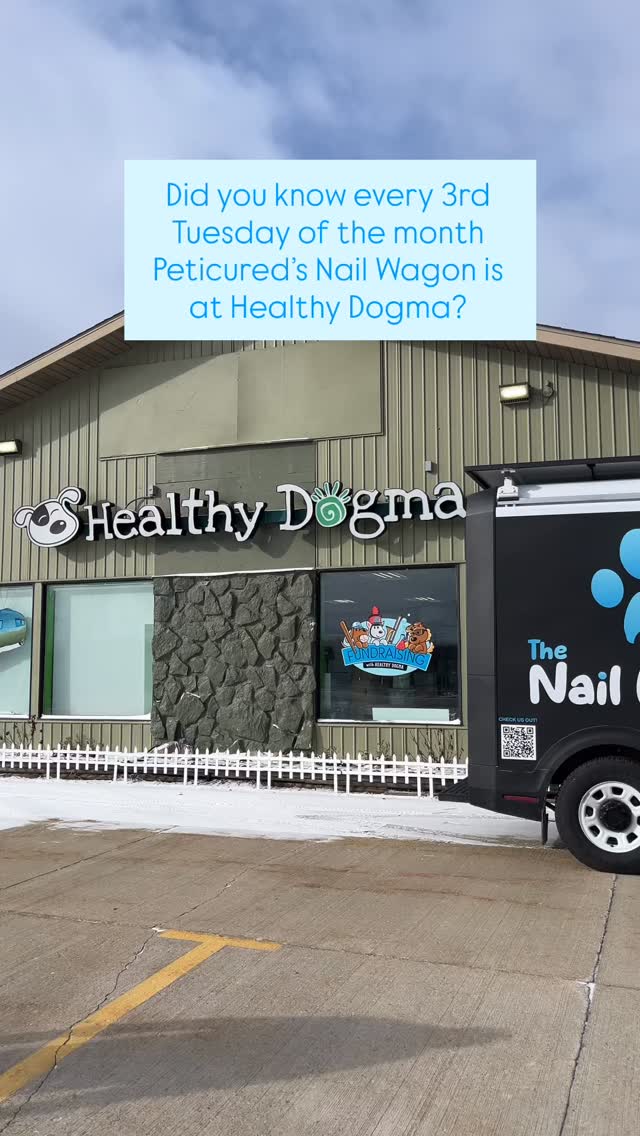 Third Tuesday = nail trim day ✂️🐶