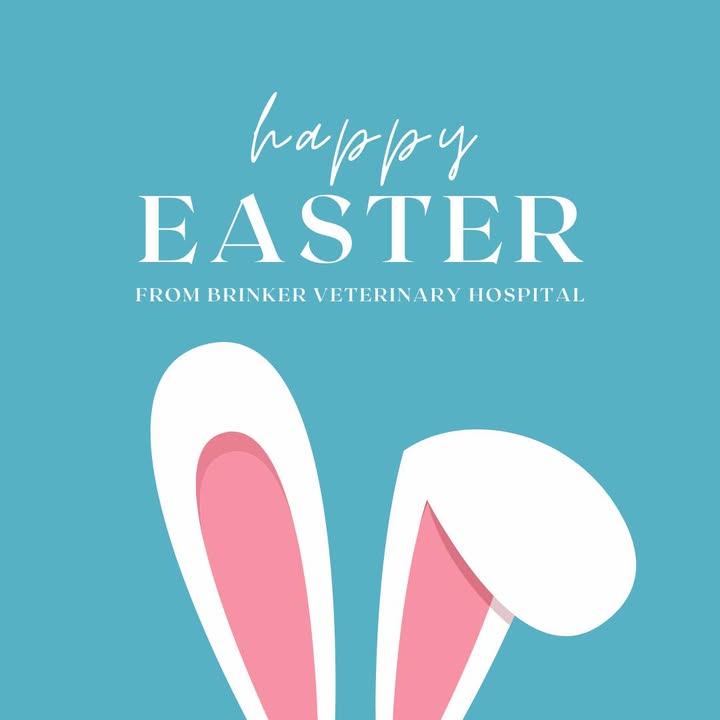 Wishing you a safe and happy Easter!