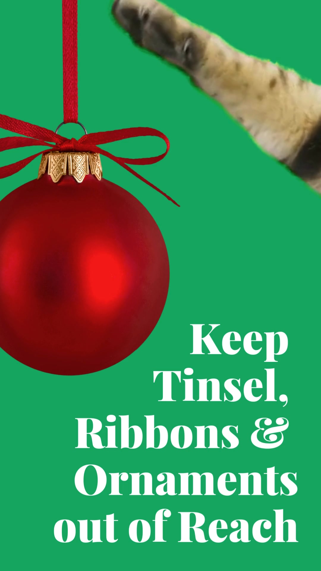 Keep the holidays merry and safe for your pets!🎄