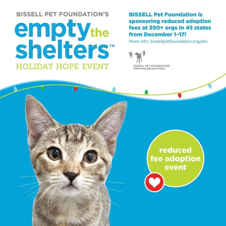 Let’s make this holiday season paw-sitively unforgettable, #OaklandCounty!
