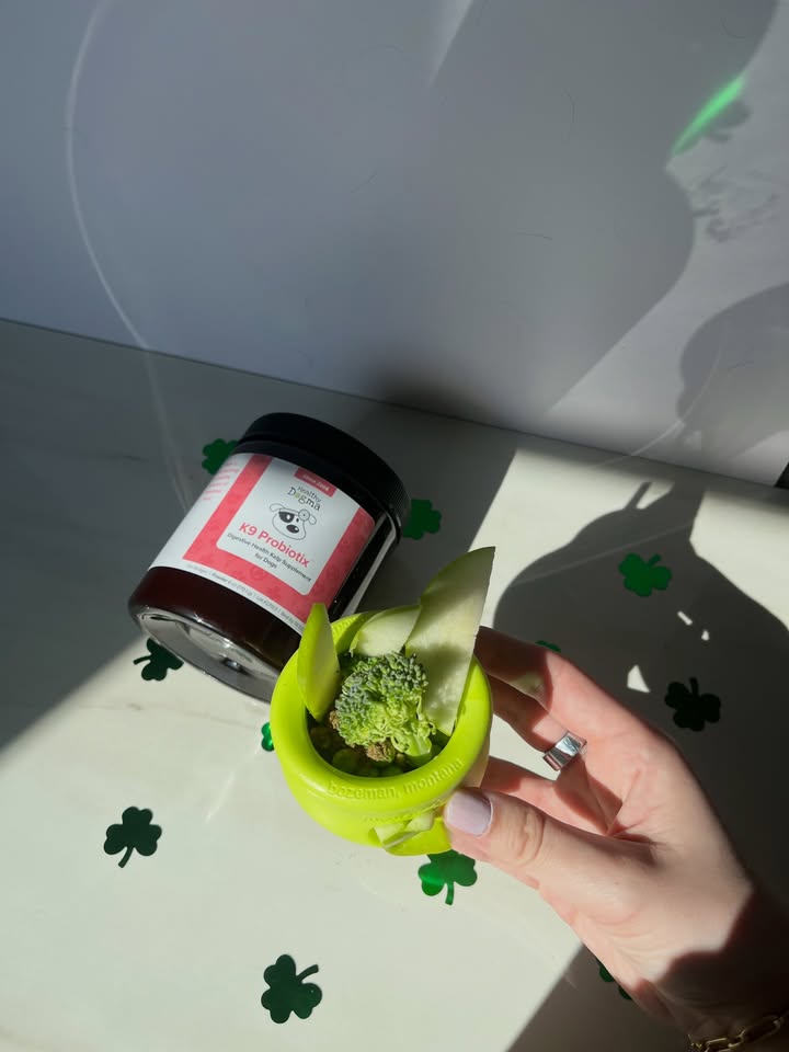St Patrick’s Day enrichment topped with out K9 Priobiotix for a healthy celebration ☘️🥦