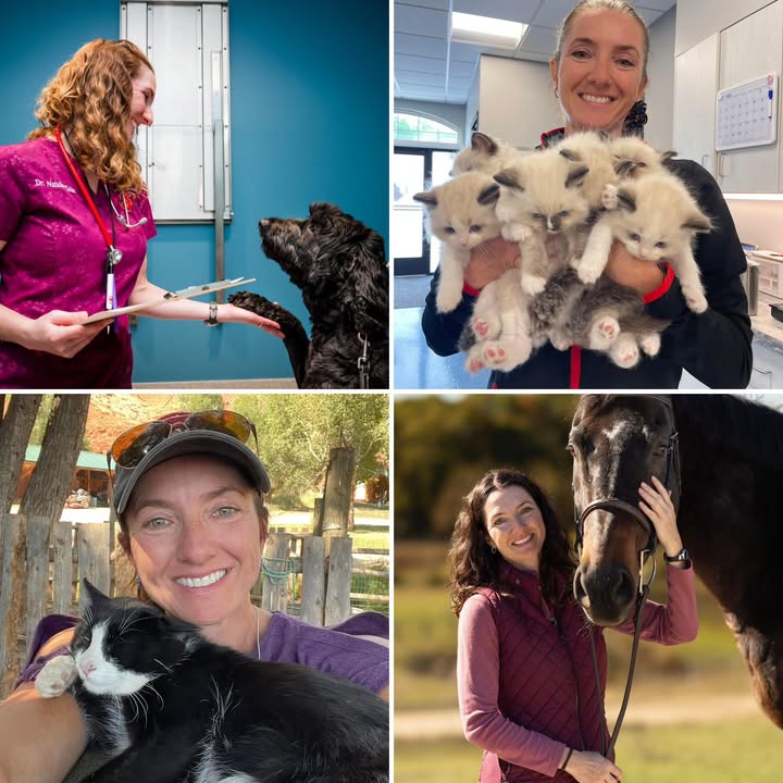 Please help us celebrate our incredible leader and boss, Dr