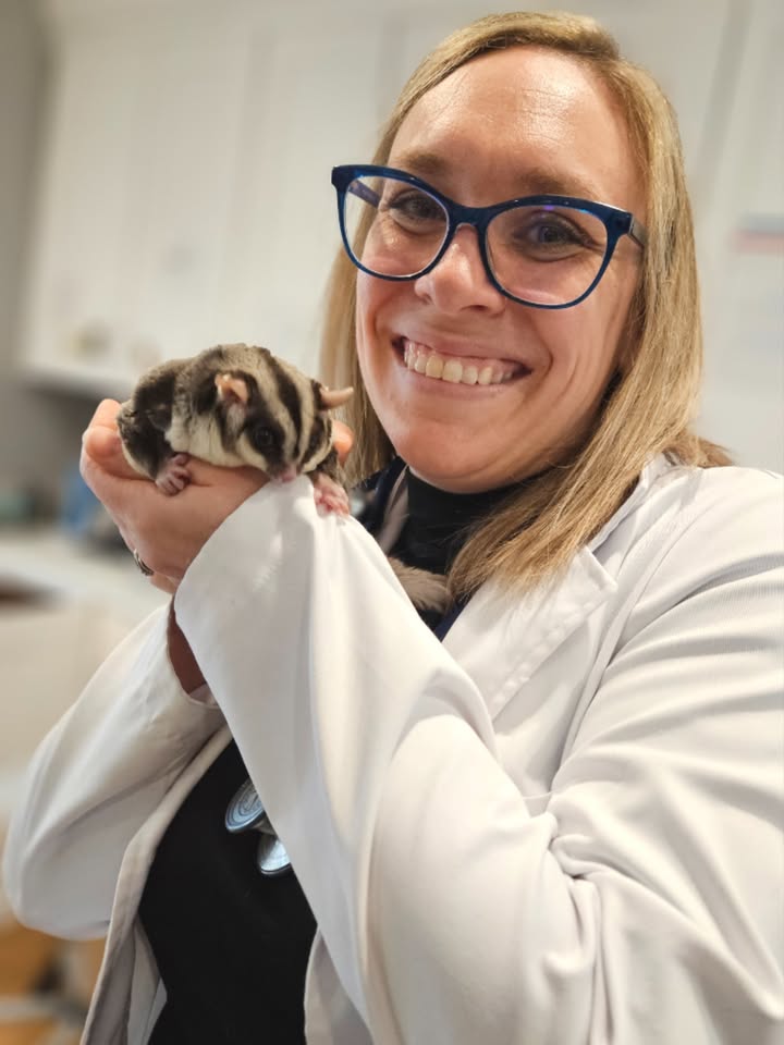 Dr. Brown and the adorable sugar glider, Leo!