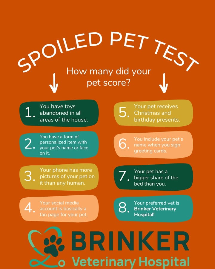 How spoiled is your pet?