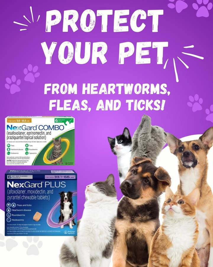 We have some excellent rebates on NexGard Plus this season!