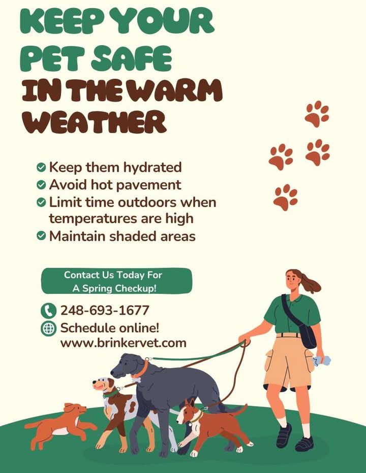 A post from Brinker Veterinary Hospital