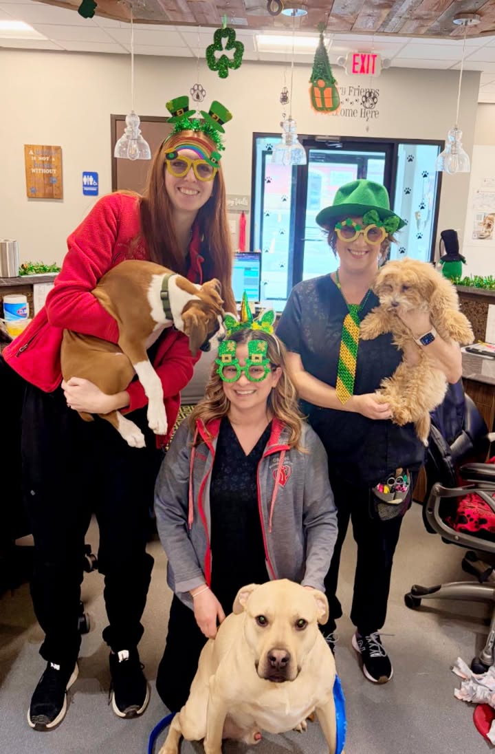 Photos from Orion Animal Hospital's post