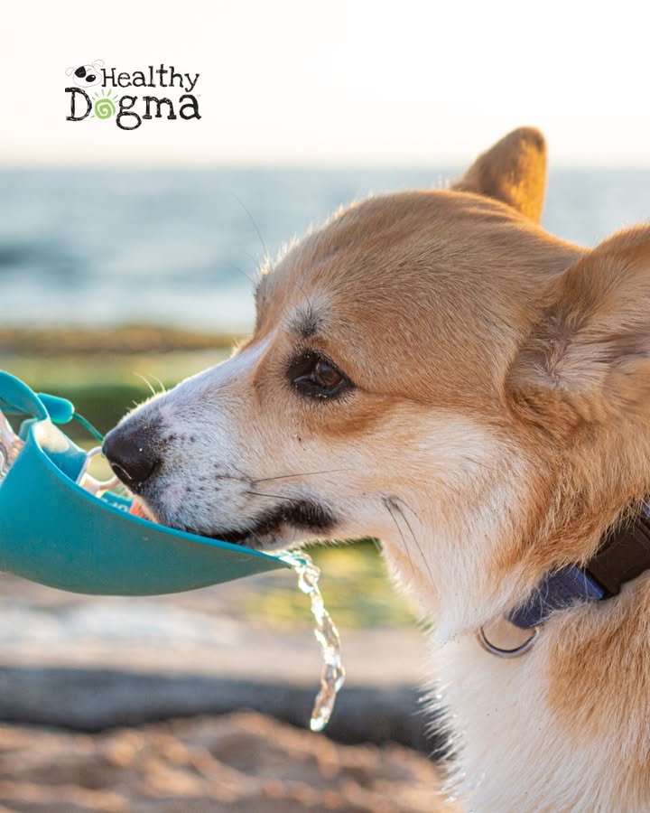 Summertime & The Feeding’s Easy!