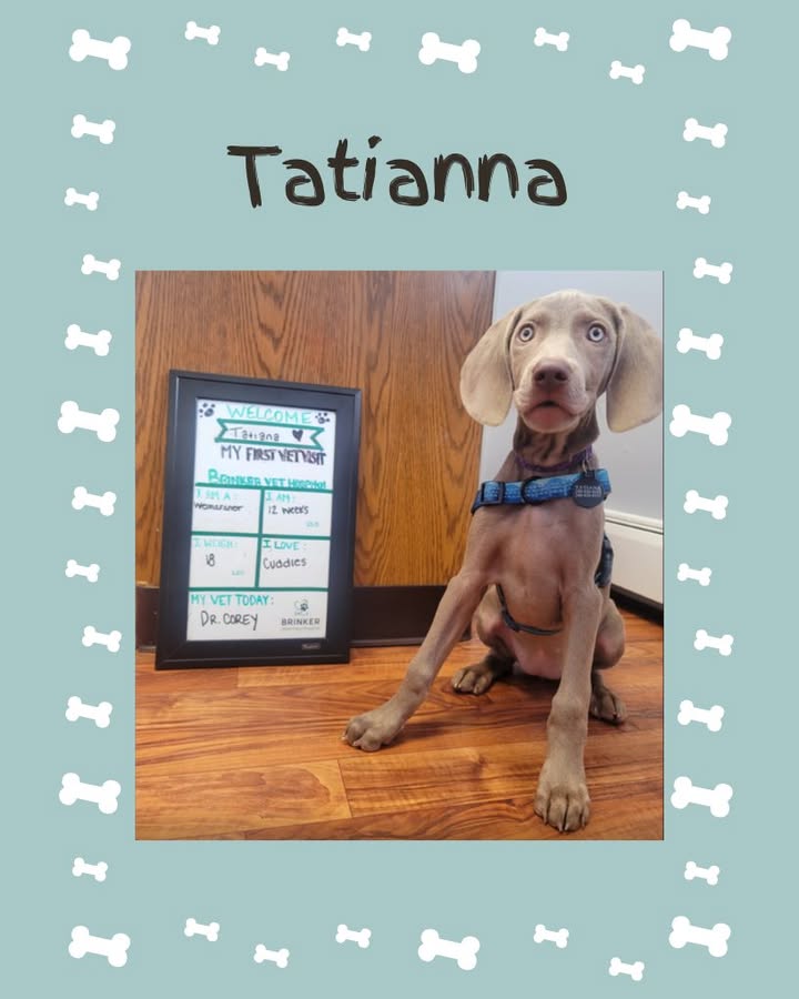 Welcome, Tatianna!
