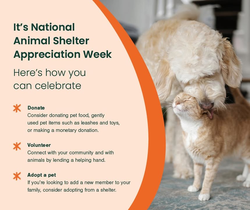 A post from Lake Orion Veterinary Hospital