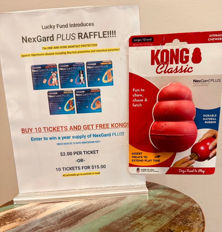It's Lucky Fund Raffle time 🥳