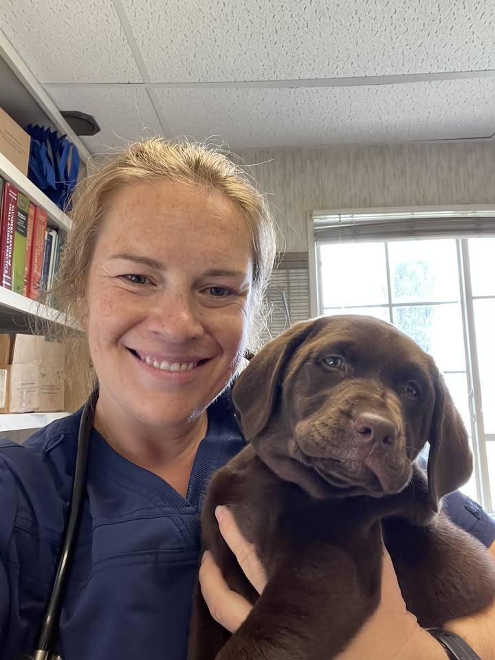 Brinker Veterinary Hospital