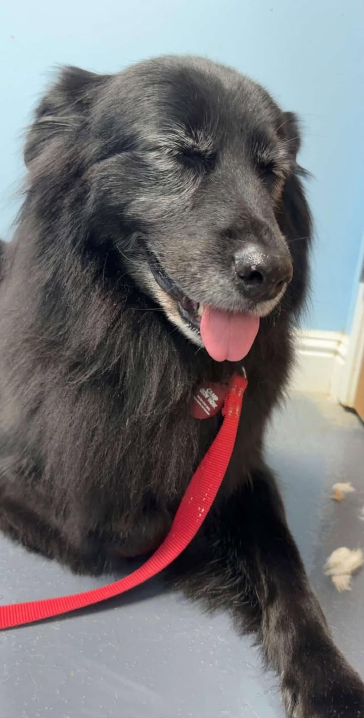 Pretty Girl! ❤️🐾