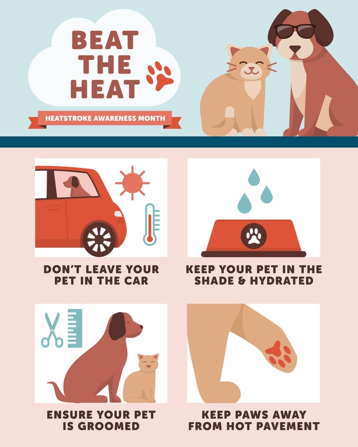 It’s Heatstroke Awareness Month!