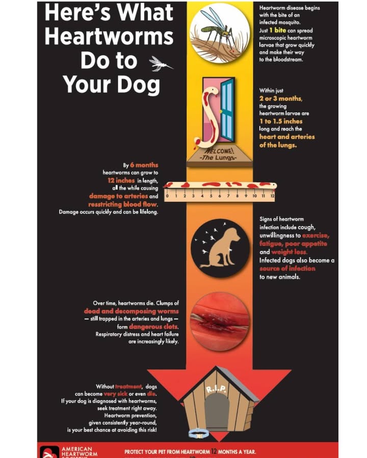 A post from Brinker Veterinary Hospital