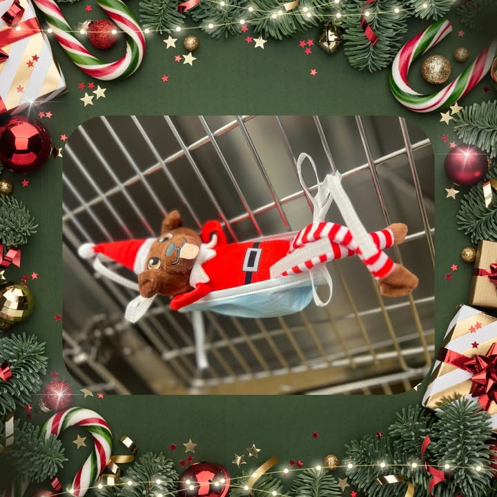 Work hard, relax harder