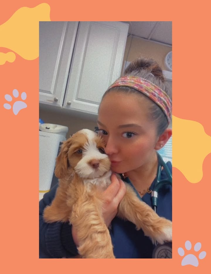 A big welcome to Stella, who recently had her first visit with us!