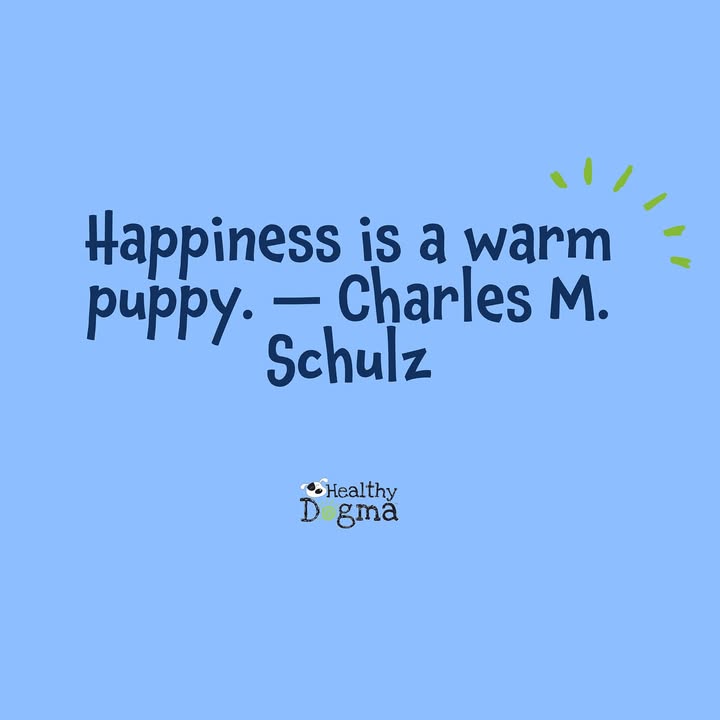 Puppy fever!!