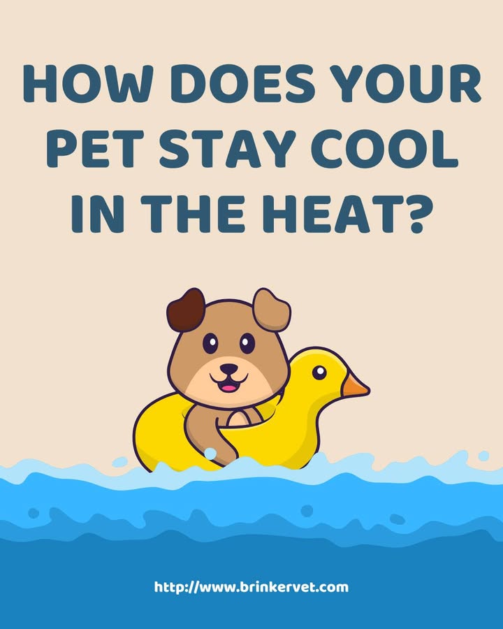 We hope everyone is having a safe and fun summer!