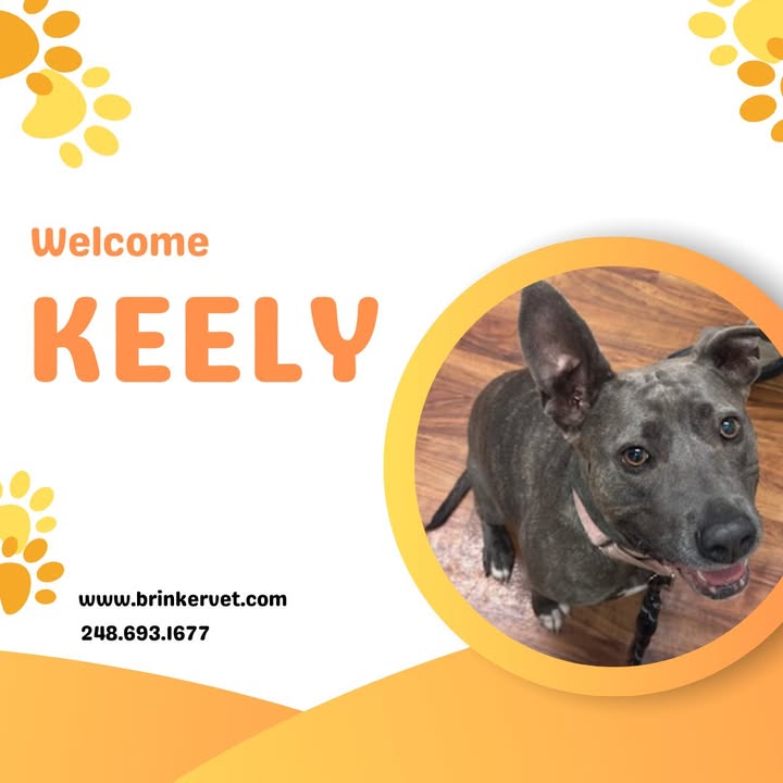 Last week we welcomed Keely to our practice!