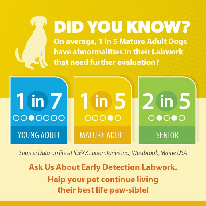 The sooner we catch changes in your pet’s health, the sooner we can act