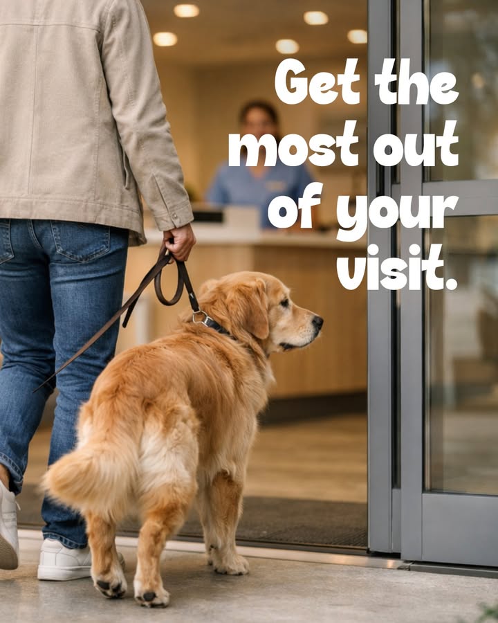 Annual visits aren't just about vaccines!
