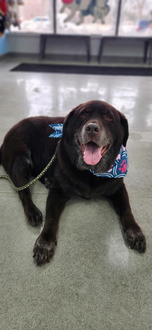 Happy Boy! Love you Bear! ❤️🐾