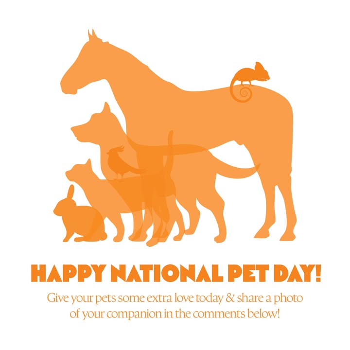 Happy National Pet Day!