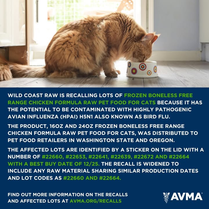 Raw diets are not advised for pet dogs and cats (even commercially available ones), because of their potential to transmit food-...