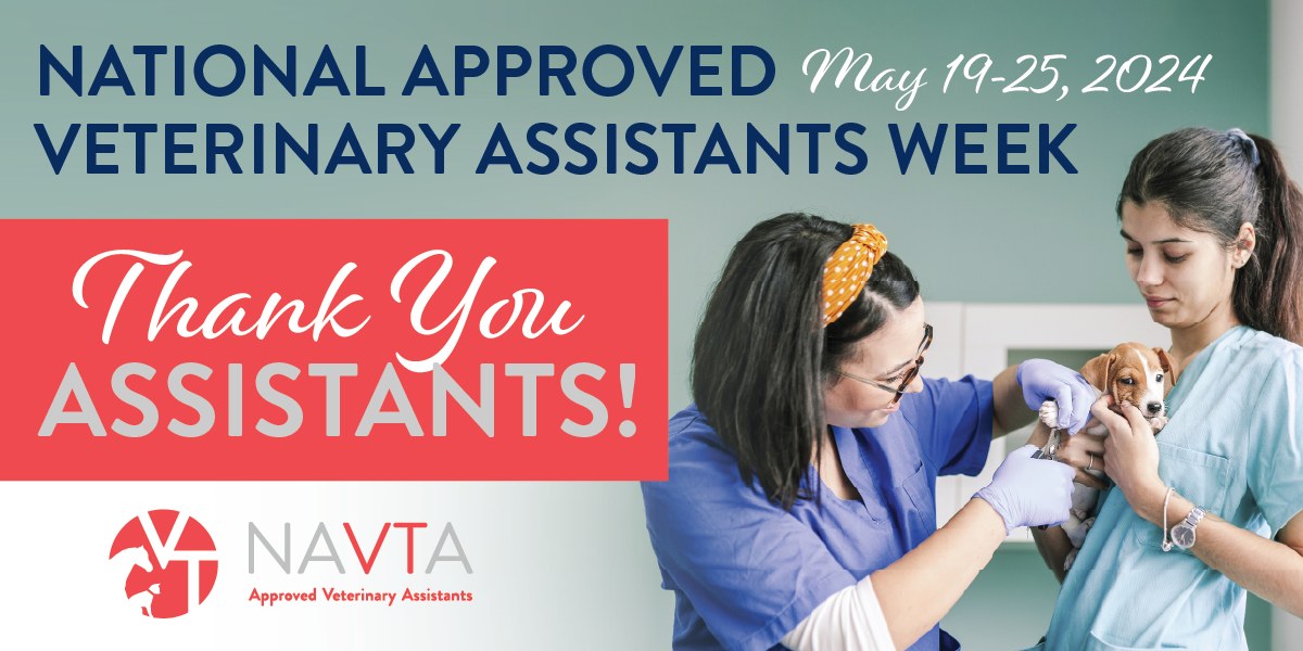 Shout out to our amazing veterinary assistants!