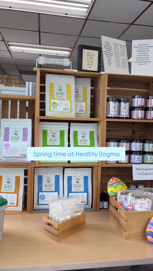 As the seasons change, your dog’s needs can shift too