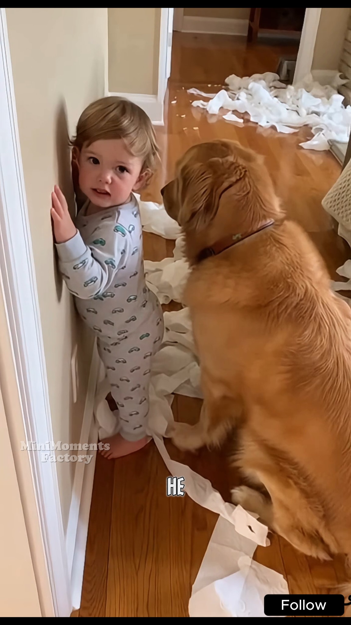 A post from Orion Kennel Club