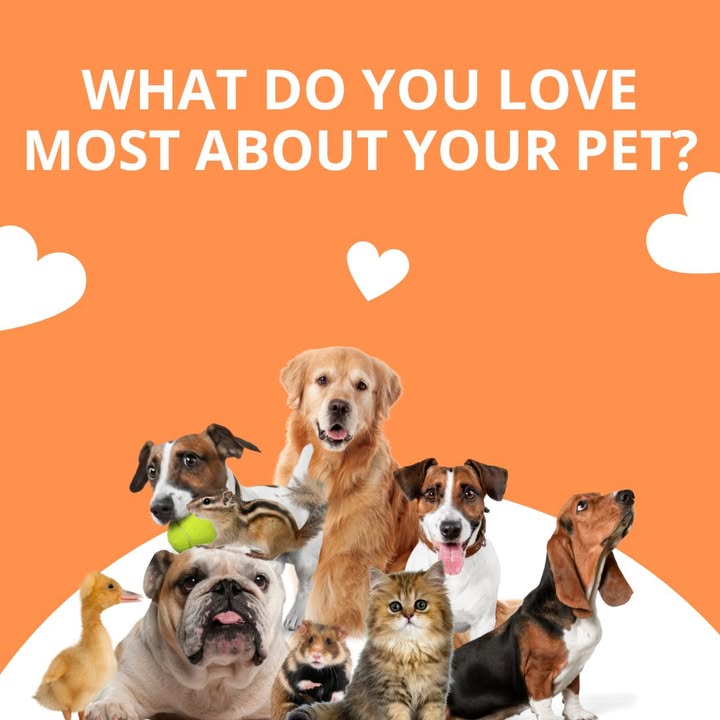 Tell us the one thing you love most about your pet