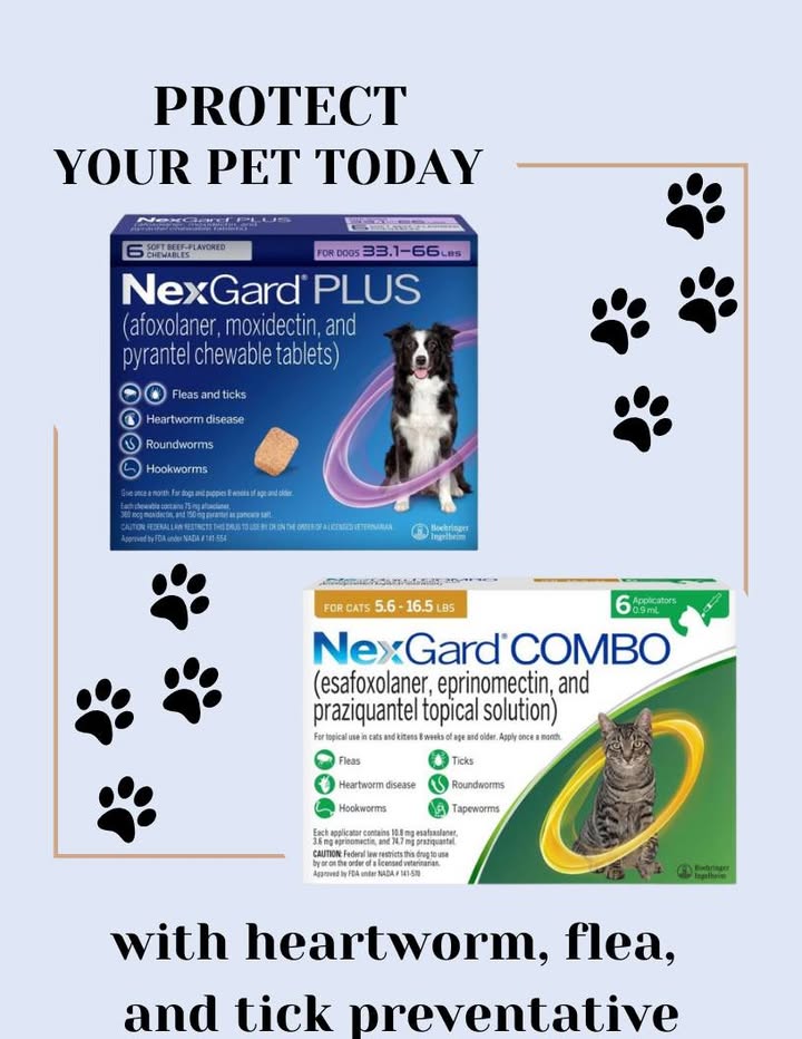 We have some excellent rebates on Nexgard Plus this season!
