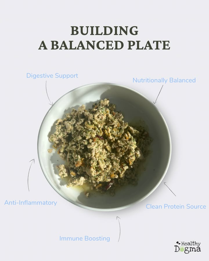 With Healthy Dogma, you’re giving your furry friend the fresh, wholesome nutrition they deserve