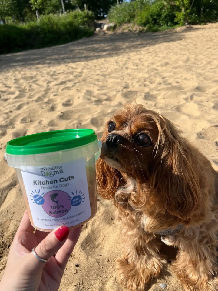 Freeze dried, single ingredient treats 🐟 say less!