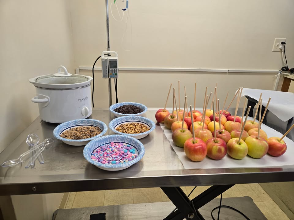 Photos from Lake Orion Veterinary Hospital's post