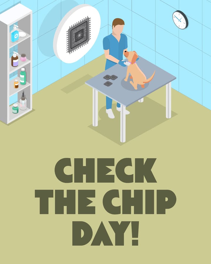 Microchips may be tiny, but have a big job!