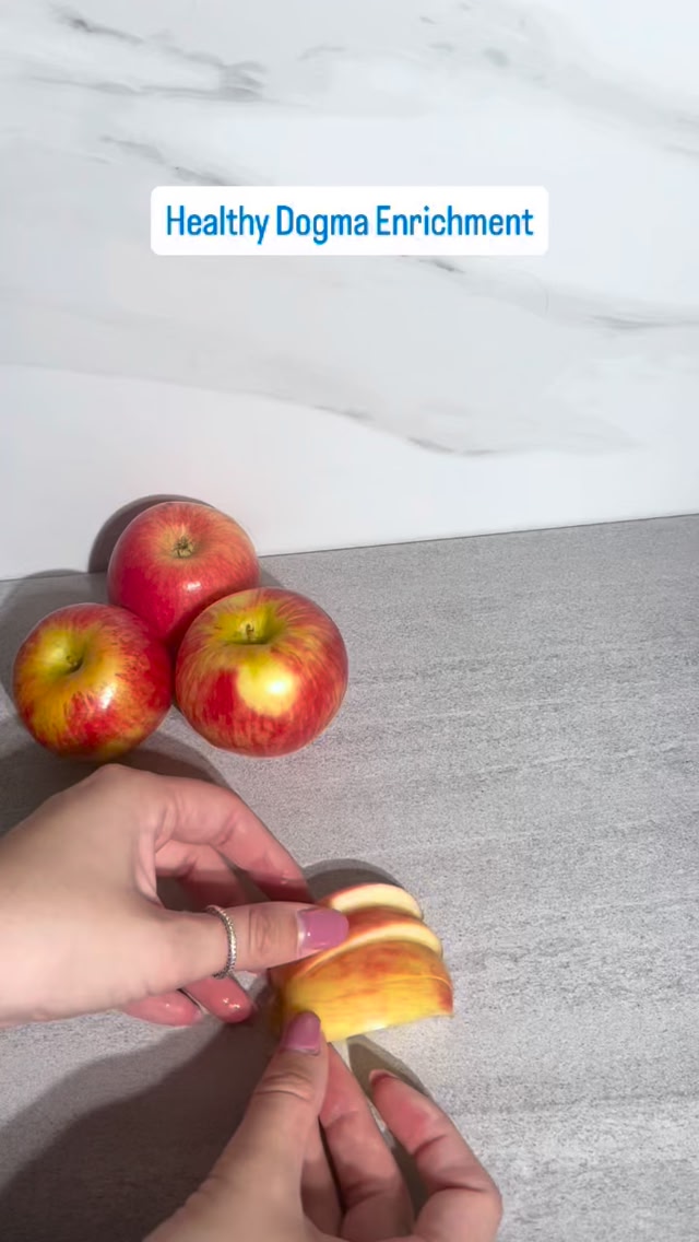 An apple a day keeps boredom away 🍎🐾