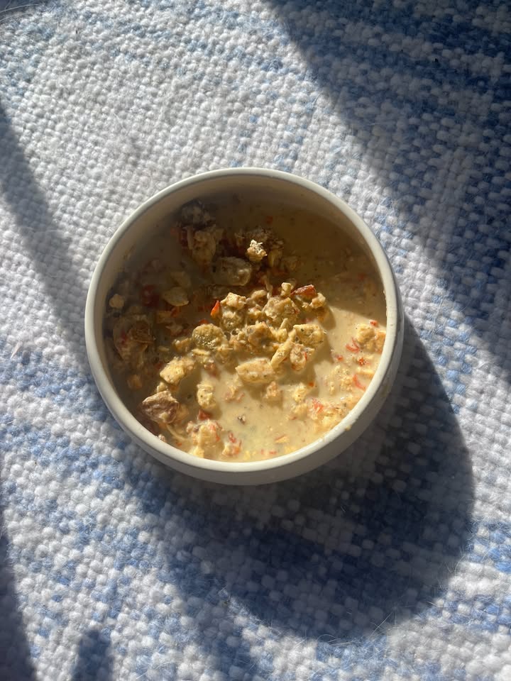 Golden hour hits different when it’s dinner time 🍽️🐶