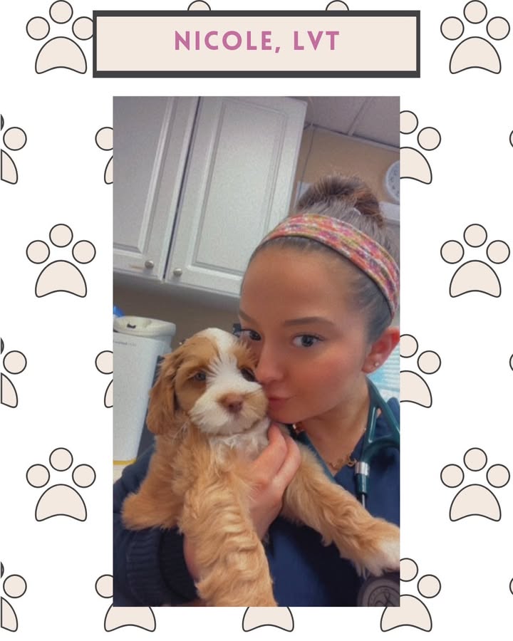 Nicole is one of our fantastic licensed veterinary technicians!