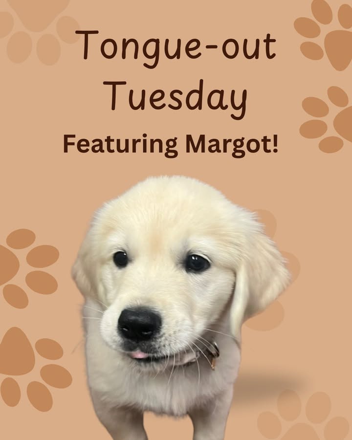 Just look at Margot's tiny tongue!