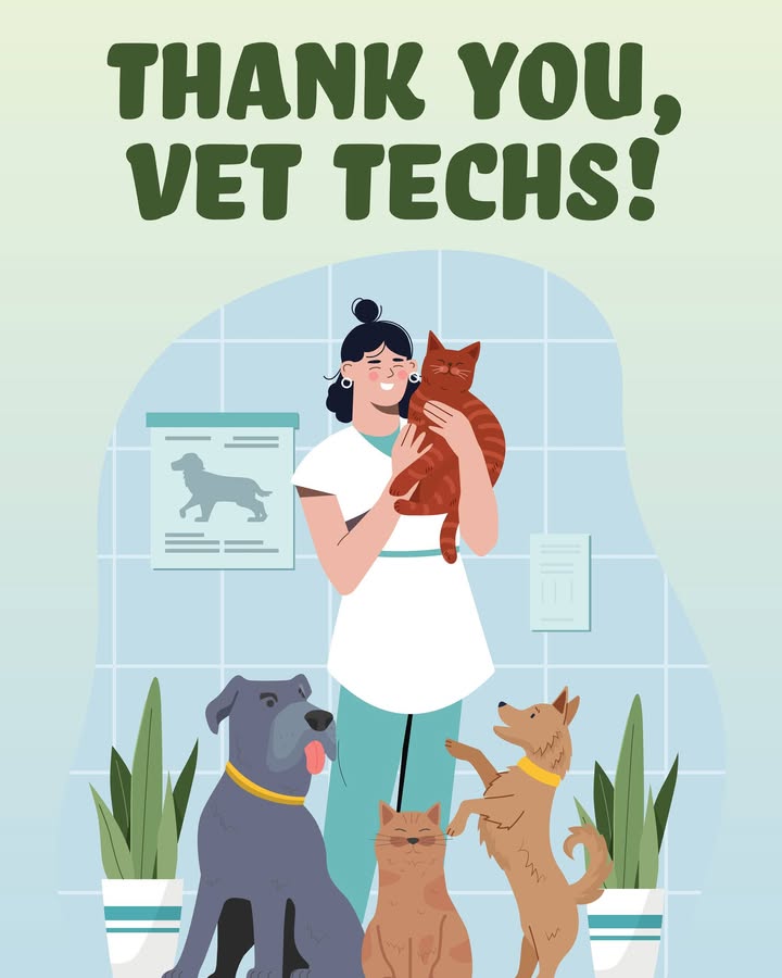 Happy #NationalVeterinaryTechnicianWeek to our incredible vet techs!