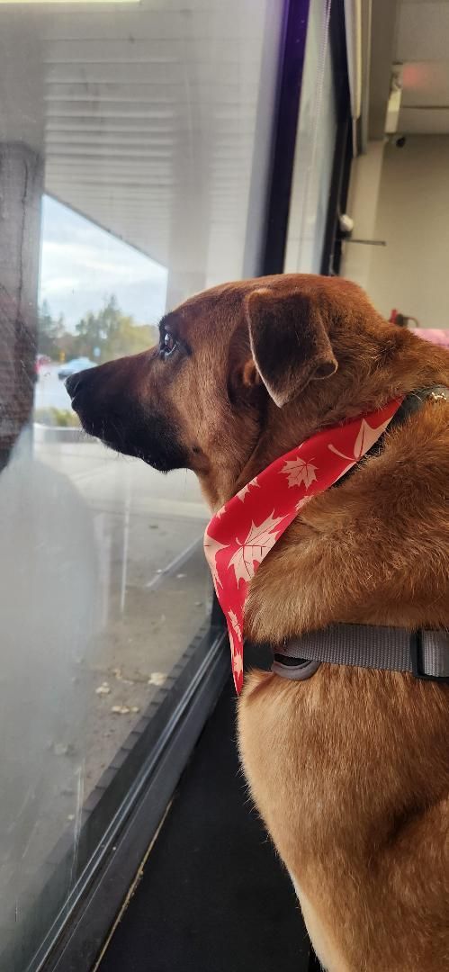 My mama will be here any second! ❤️🐾