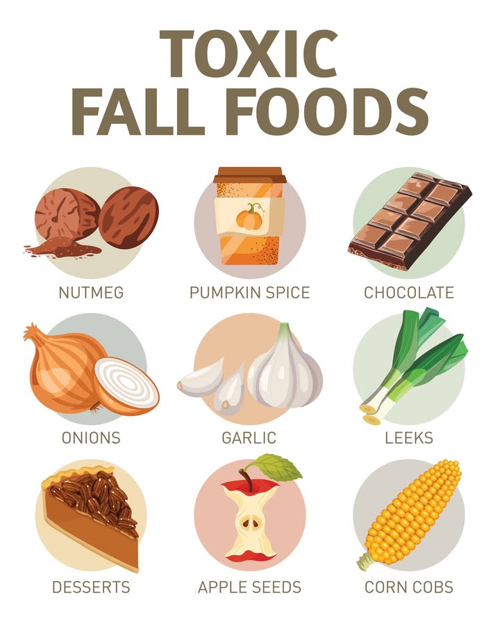 Fall is upon us!