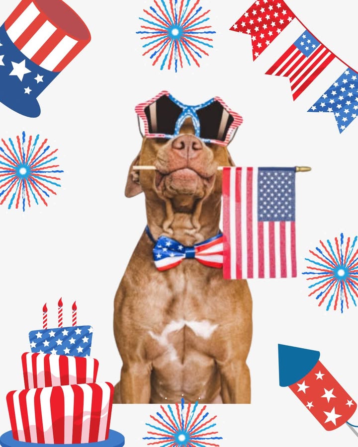 Happy 4th of July from Brinker Veterinary Hospital!